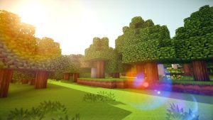 Minecraft med shaders og texturepack